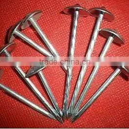 Fast Sell Good Quanlity Umbrella Head Twisted Nails photo-5