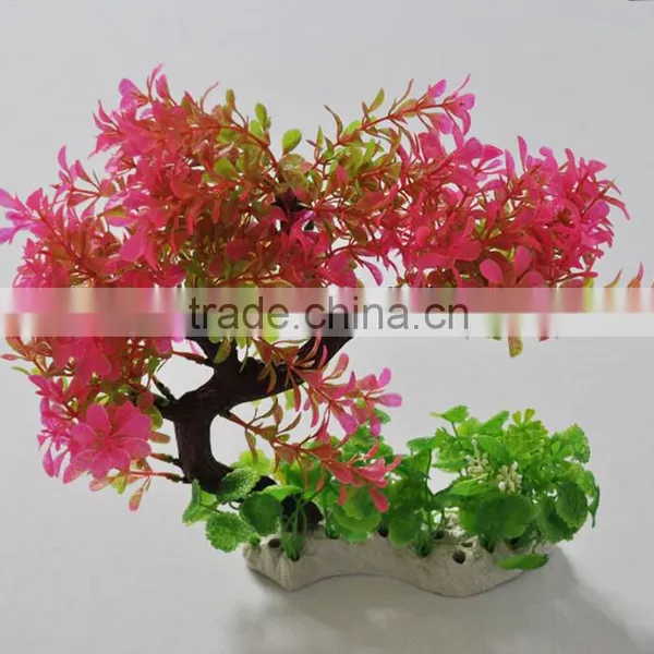 Zhongshan Maxware Wholesale Aquarium Aquatic Plants photo-5