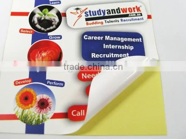 Factory Self Adhesive Printed Glossy Paper Stickers photo-4