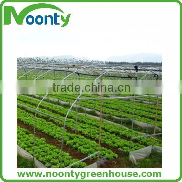 Agricultural Greenhouse photo-2