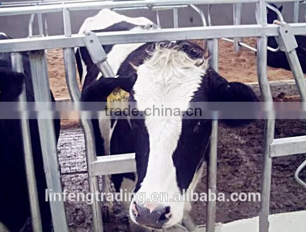Manufacturer of Hot Dip Galvanized Cow Neck Cangue / Cattle Headlocks photo-2