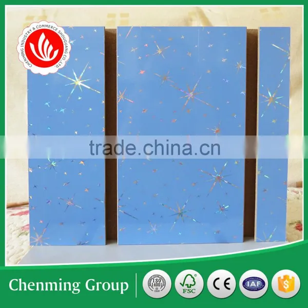 PVC MDF Slat Panel photo-4