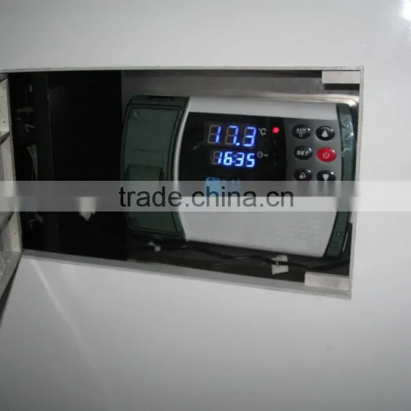 Hair Loss Treatment by Beauty Salon Use Laser Alexandrite Machine Companies Looking for Representative photo-3