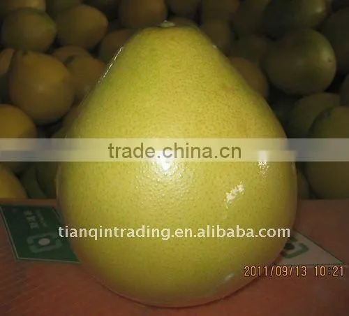 Honey Pomelo