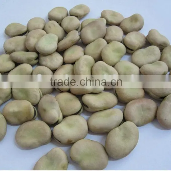 Chinese Faba Beans
