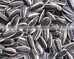 New Arrival Organic Sunflower Seeds With Best Price photo-2