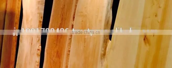 Original and High Quality Horse Chestnut for Wooden Furniture Use , Various Types of Furnitures Also Available photo-3