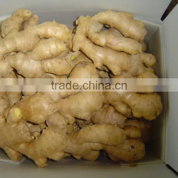 Good Quality Chinese Organic Ginger photo-6