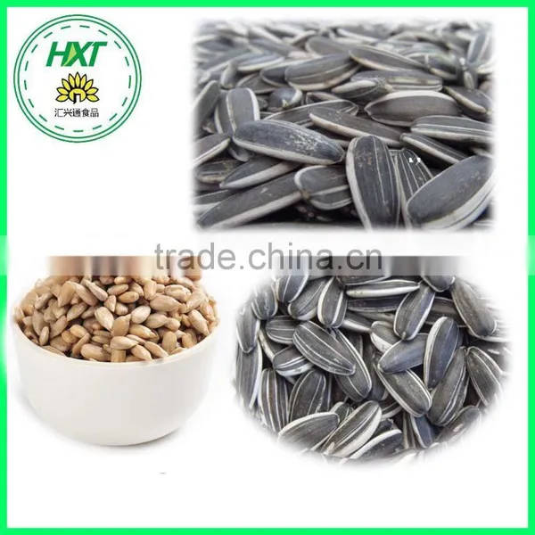 Hot Sale Raw Sunflower Seeds 5009 260/270