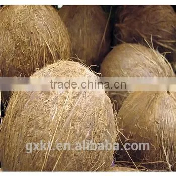 Virgin Cold Pressed Coconut Oil Crude 500ml photo-4