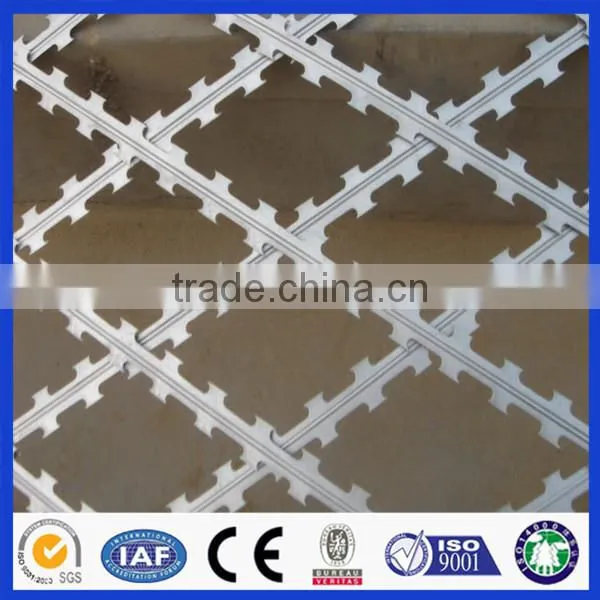 Chaina Whosale Razor Barbed Wire Spike Strips photo-5