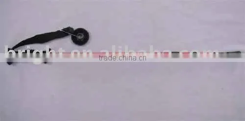Walking Pole