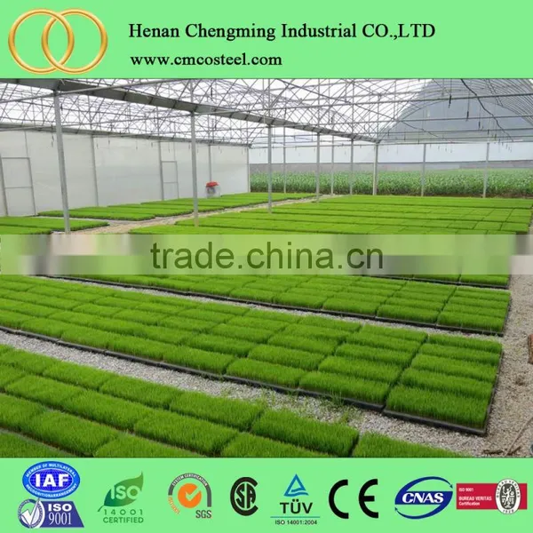 Garden Hydroponic Grow Tent/plastic Greenhouses Vegetables for Sale photo-3