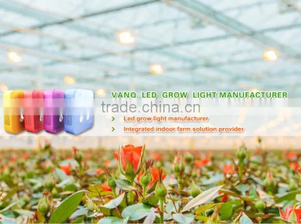 Aluminum Housing Passive Cooling Grow Lights 50w/100w Greenhouse Supplemental Lamp for Indoor Hydroponic photo-3