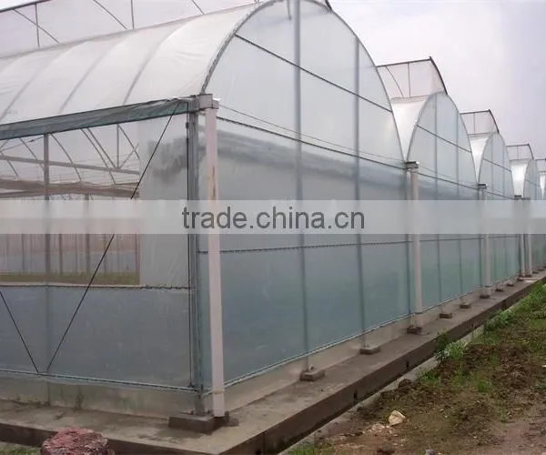 Multi-span Greenhouse With Greenhouse Window Opener System photo-3