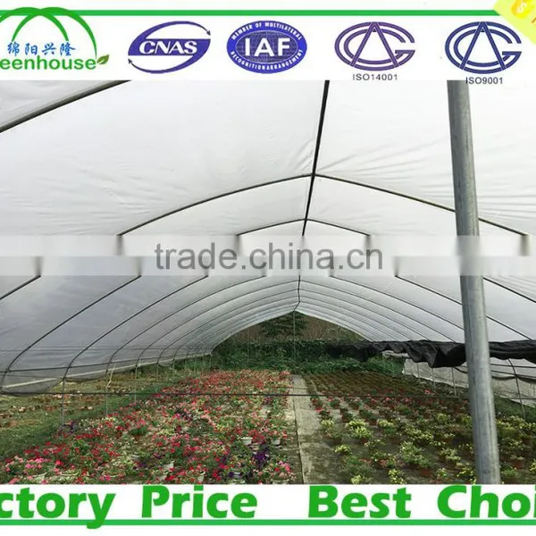 Low Cost Small Greenhouse photo-2