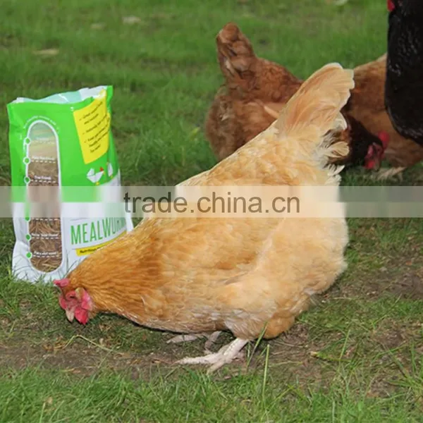 Dried Mealworms for Wild Bird photo-4