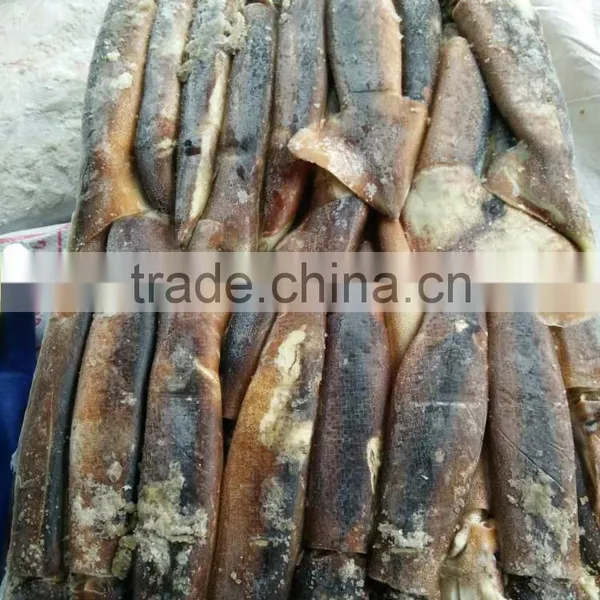 Below 150g Frozen Illex Argentinus Squid photo-3