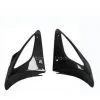 Carbon Motorcycle Parts Abdeckung for BMW Boxer Cup