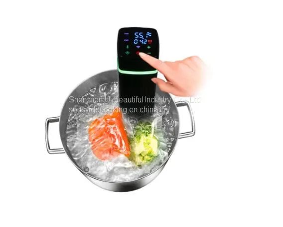 1100watt WiFi Machine Precision Slow Cooker Sous Vide Everything At Home photo-5