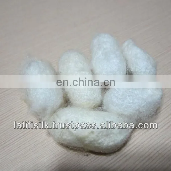 Cocoon