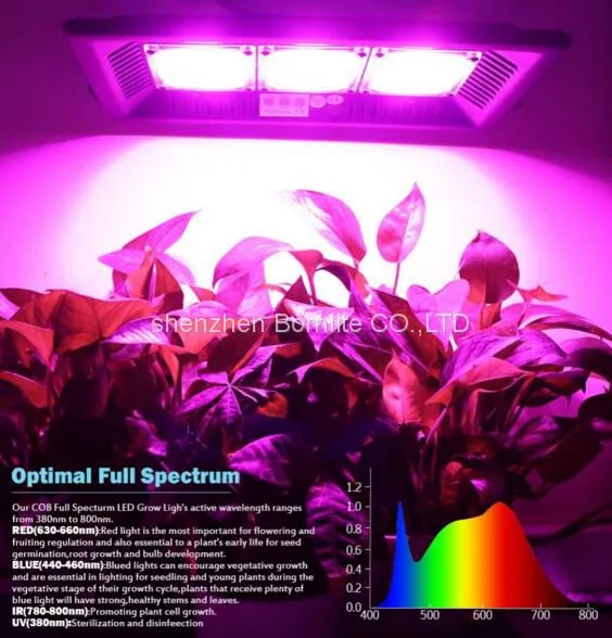 Grow Full Spectrum 50W 100W 150W Led Flood Light Supplement Light Indoor Graden Light Aeroponics Lights photo-5