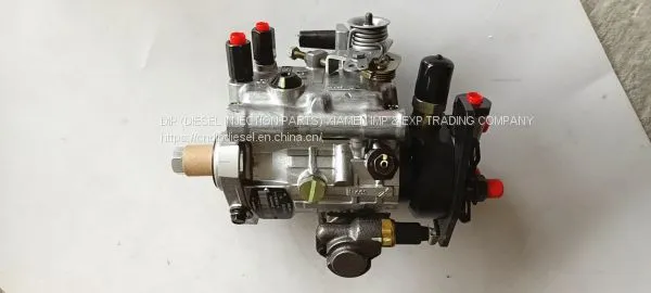 Perkins 3 Cylinder Delphi Diesel Fuel Injection Pump 8922A130T DP200 for Sale photo-4