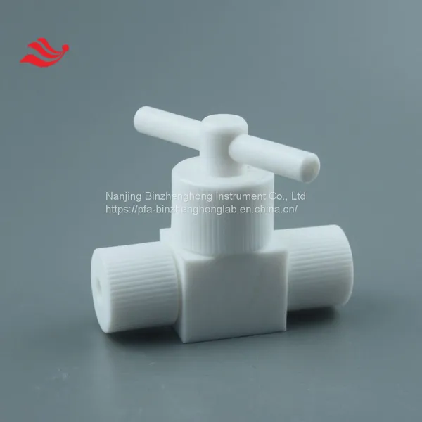 Customized PTFE Valve With Different Joint for Pipe Connection photo-2