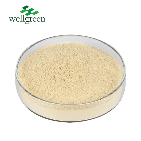 Root Ginsenosides 80% Korean Red Panax Siberian Ginseng Extract Ginseng Powder photo-2