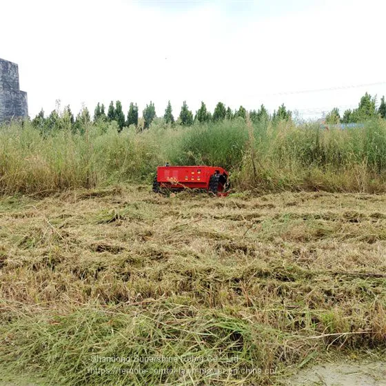 Wireless Remote Control Lawn Mower, China Remote Control Slope Mower Price, Remote Slope Mower for Sale