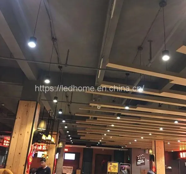 Hanging Adjustable COB LED Down Lights (12W) photo-5