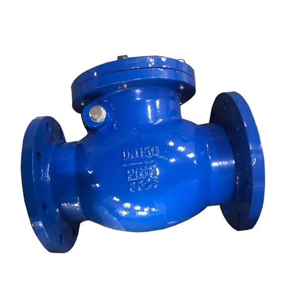DIN PN16 Duction Cast Iron Body Flang Swing Non Return Check Valve photo-3