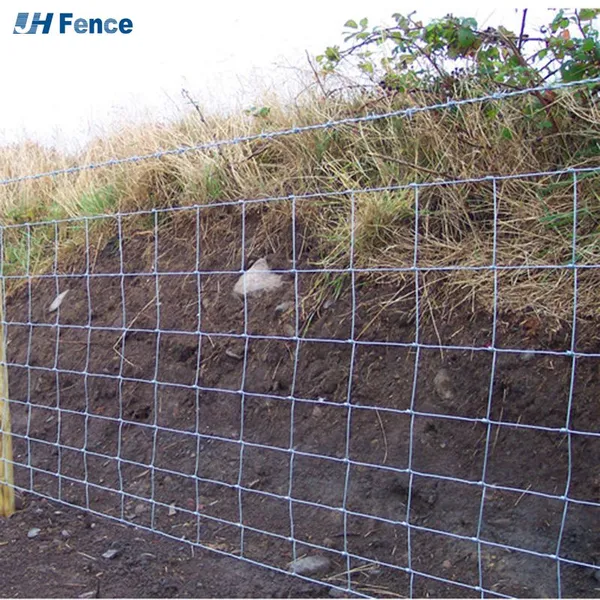 Fixed Knot Iron Wire Mesh Fence for Agriculture and Livestock Fields photo-5