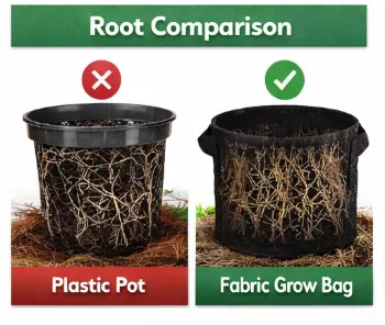 Custom Size Fabric Grow Bags OEM Factory Supply photo-3