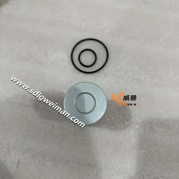 DOOSAN & DEVELON 400504-00241 ELEMENT FILTER PILOT photo-4