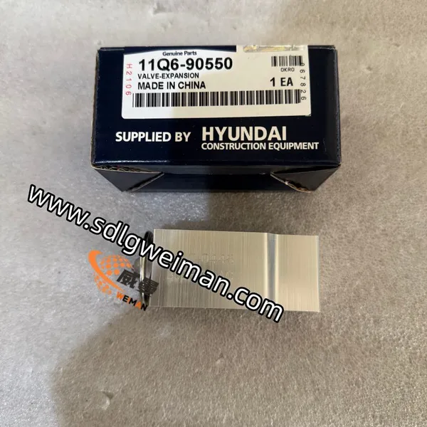 Original Hyundai 11Q6-90550(11Q6-90551) EXPANSION VALVE AIR CON