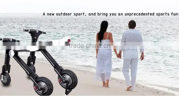 Acetech 2016 Electric Balance E-bike Two Wheels Scooter With CE , ROHS FCC Approved photo-4