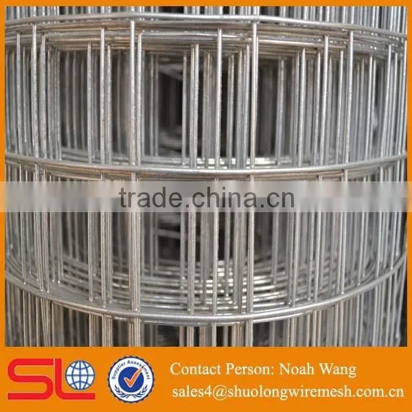 High Quality Galvanized Welded Wire Mesh photo-3