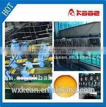 Complete Orange Sacs Processing Line