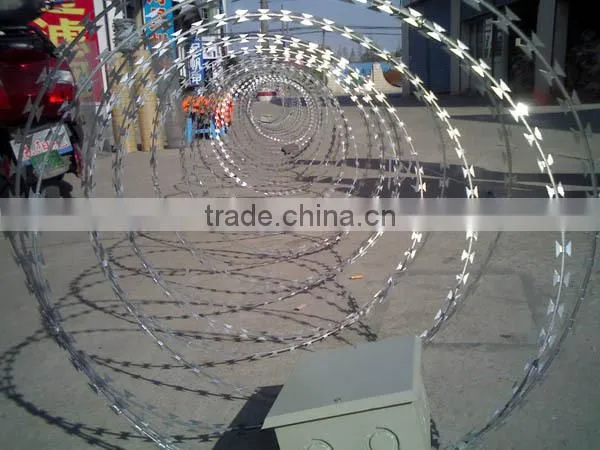 Galvanized BTO-22/CBT-65 Safety Razor Wire photo-3