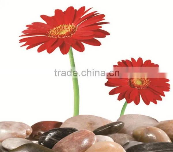 Beautiful Flower Design Colorful UV-print Clear Table Mat photo-5