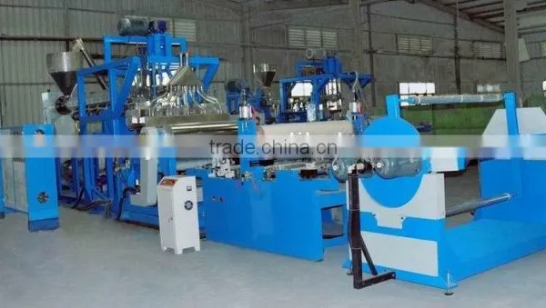 Qingdao Design PET Sheet Production Line/making Machine/extruder photo-5