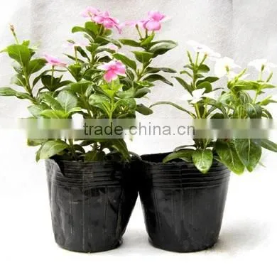 Plastic Flower pot