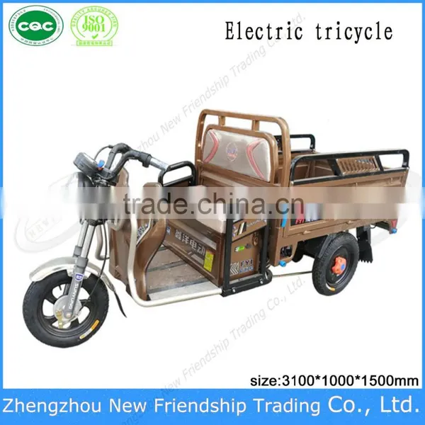 Cargo Delivery Small 3 Wheel Cheap Adult Tricycle for Sale photo-3