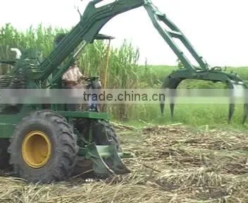 Sugarcane Harvest