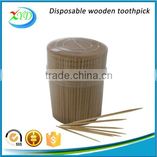 250 Piece Plastic Bottle Wooden Toothpick photo-5