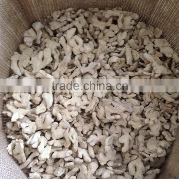 GINGER POWDER photo-2