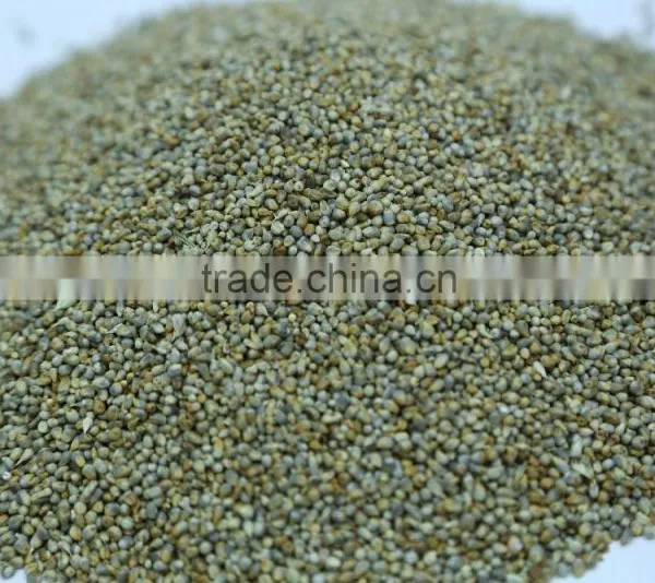 Millet Seeds