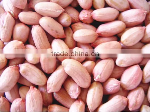 2016 New Crop Blanched Peanut photo-5