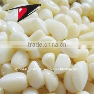 Chinese Garlic